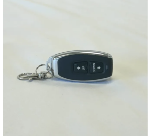 Praying Mantis Remote Fob
